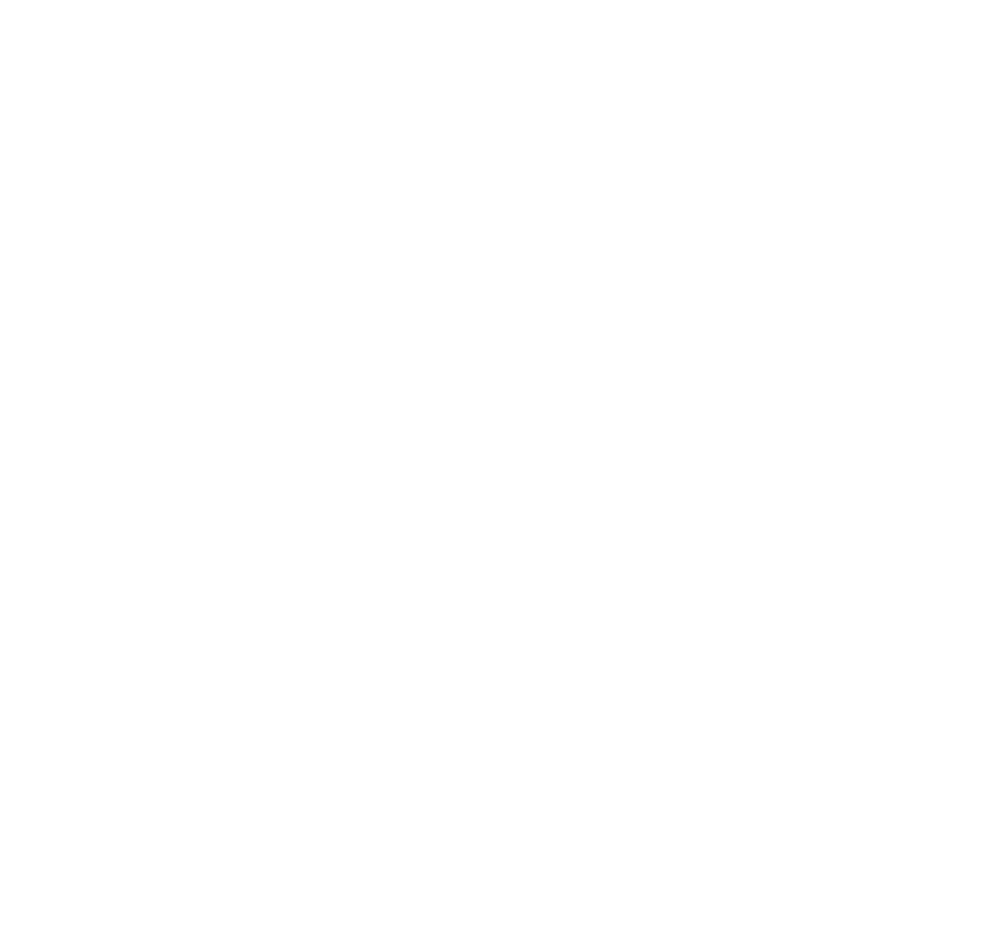 Free shipping delivery badge for AlkaBurn bundle orders