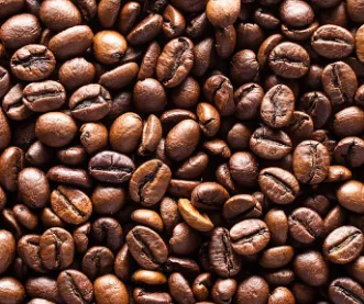 Roasted coffee beans, the everyday source of the caffeine anhydrous used in AlkaBurn