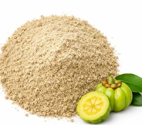 Garcinia cambogia fruit beside the extract powder used in the AlkaBurn capsule
